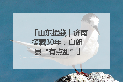 山东援藏｜济南援藏30年，白朗县“有点甜”