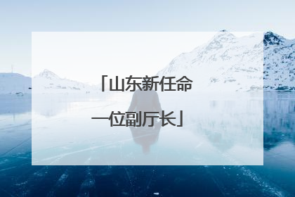 山东新任命一位副厅长