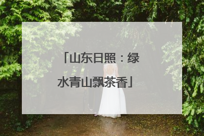 山东日照：绿水青山飘茶香