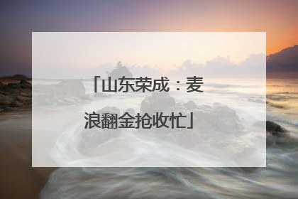 山东荣成：麦浪翻金抢收忙