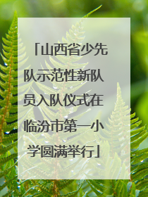 山西省少先队示范性新队员入队仪式在临汾市第一小学圆满举行