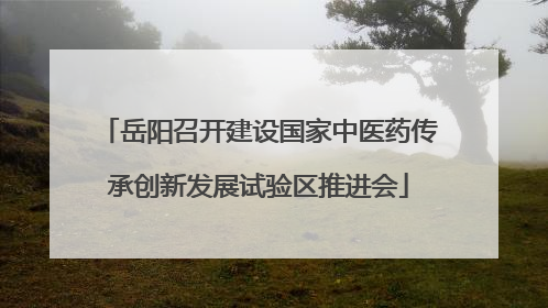 岳阳召开建设国家中医药传承创新发展试验区推进会