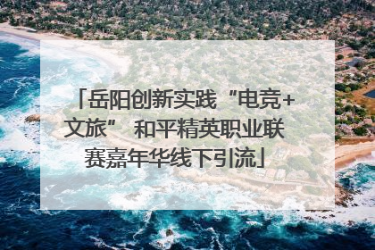 岳阳创新实践“电竞+文旅” 和平精英职业联赛嘉年华线下引流