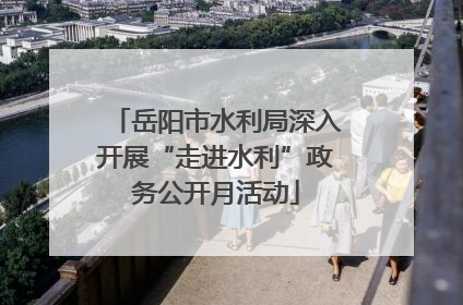 岳阳市水利局深入开展“走进水利”政务公开月活动
