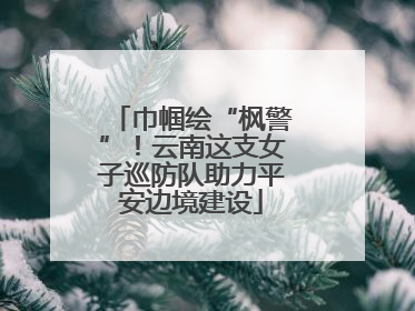 巾帼绘“枫警”！云南这支女子巡防队助力平安边境建设