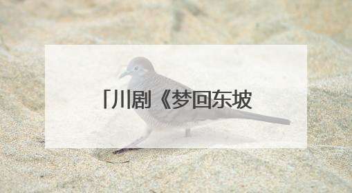 川剧《梦回东坡》亮相惠州 专家研讨会点赞：直接走进观众心里！