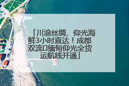 川渝丝绸、仰光海鲜3小时直达！成都双流⇌缅甸仰光全货运航线开通