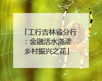 工行吉林省分行：金融活水浇灌 乡村振兴之花