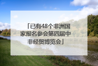 已有48个非洲国家报名参会第四届中非经贸博览会