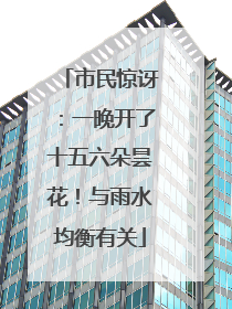 市民惊讶：一晚开了十五六朵昙花！与雨水均衡有关