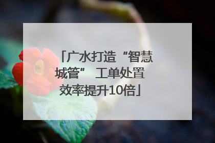 广水打造“智慧城管” 工单处置效率提升10倍