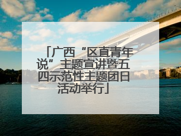 广西“区直青年说”主题宣讲暨五四示范性主题团日活动举行
