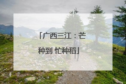 广西三江：芒种到 忙种稻