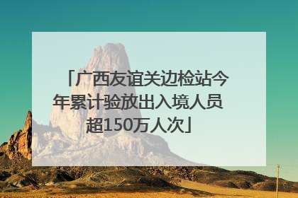 广西友谊关边检站今年累计验放出入境人员超150万人次