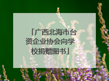 广西北海市台资企业协会向学校捐赠图书