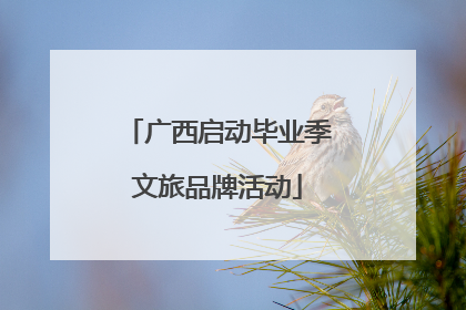 广西启动毕业季文旅品牌活动
