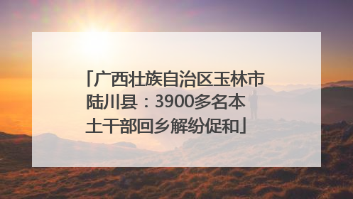 广西壮族自治区玉林市陆川县：3900多名本土干部回乡解纷促和
