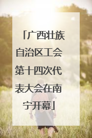 广西壮族自治区工会第十四次代表大会在南宁开幕
