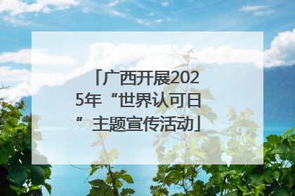 广西开展2025年“世界认可日”主题宣传活动