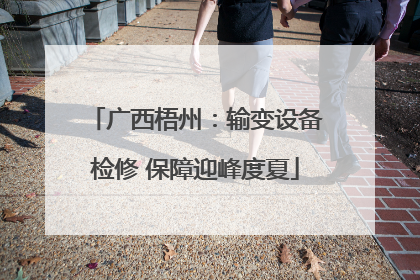 广西梧州：输变设备检修 保障迎峰度夏