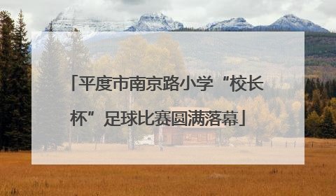 平度市南京路小学“校长杯”足球比赛圆满落幕