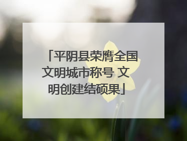平阴县荣膺全国文明城市称号 文明创建结硕果