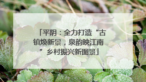平阴：全力打造“古镇焕新景，泉韵映江南”乡村振兴新图景
