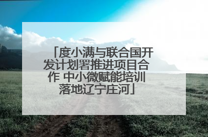 度小满与联合国开发计划署推进项目合作 中小微赋能培训落地辽宁庄河