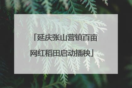 延庆张山营镇百亩网红稻田启动插秧