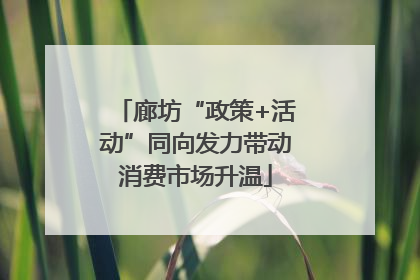 廊坊“政策+活动”同向发力带动消费市场升温