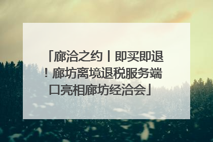 廊洽之约丨即买即退！廊坊离境退税服务端口亮相廊坊经洽会