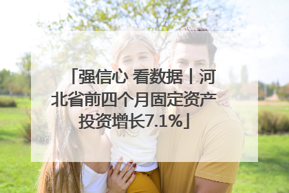 强信心 看数据丨河北省前四个月固定资产投资增长7.1%