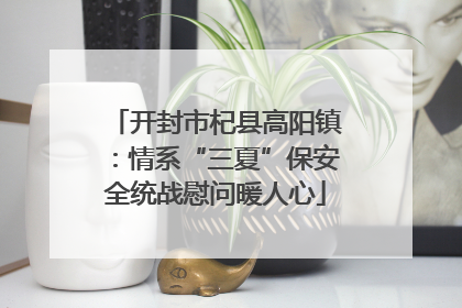 开封市杞县高阳镇：情系“三夏”保安全统战慰问暖人心