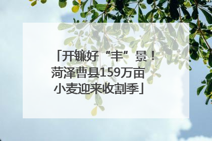 开镰好“丰”景！菏泽曹县159万亩小麦迎来收割季