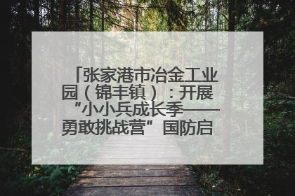 张家港市冶金工业园（锦丰镇）：开展“小小兵成长季——勇敢挑战营”国防启蒙教育活动