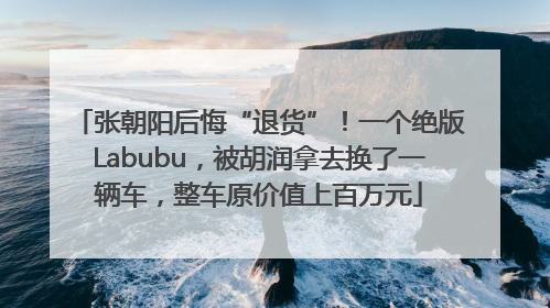 张朝阳后悔“退货”！一个绝版Labubu，被胡润拿去换了一辆车，整车原价值上百万元