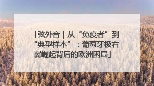 弦外音｜从“免疫者”到“典型样本”：葡萄牙极右翼崛起背后的欧洲困局
