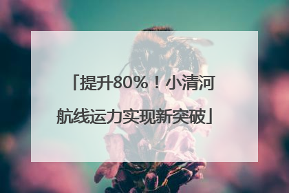 提升80％！小清河航线运力实现新突破