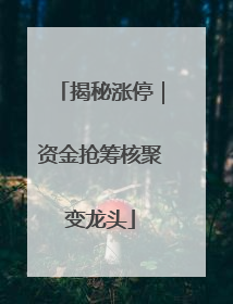 揭秘涨停｜资金抢筹核聚变龙头