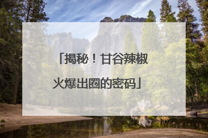 揭秘！甘谷辣椒火爆出圈的密码