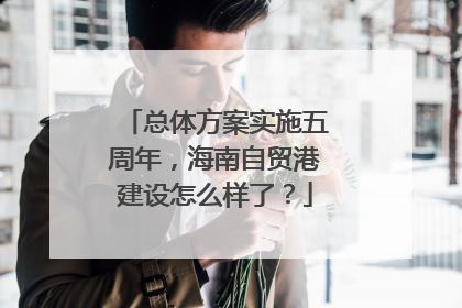 总体方案实施五周年，海南自贸港建设怎么样了？