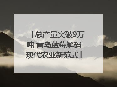 总产量突破9万吨 青岛蓝莓解码现代农业新范式