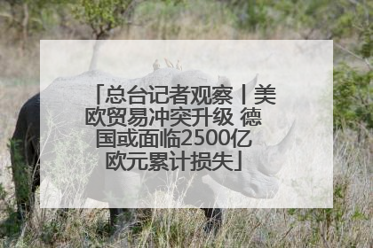 总台记者观察丨美欧贸易冲突升级 德国或面临2500亿欧元累计损失