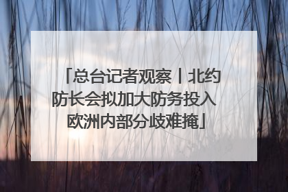 总台记者观察丨北约防长会拟加大防务投入 欧洲内部分歧难掩