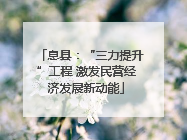 息县：“三力提升”工程 激发民营经济发展新动能