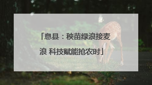 息县：秧苗绿浪接麦浪 科技赋能抢农时
