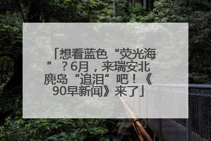 想看蓝色“荧光海”？6月，来瑞安北麂岛“追泪”吧！《90早新闻》来了