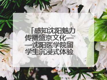 感知沈阳魅力传播盛京文化——沈阳医学院留学生沉浸式体验沈阳文旅特色