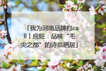 我为河南品牌打call丨应旺：品味“毛尖之都”的诗意栖居
