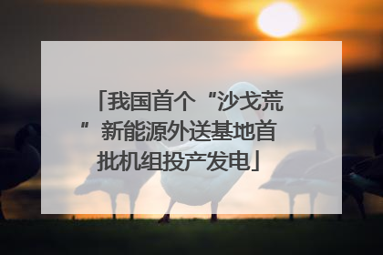 我国首个“沙戈荒”新能源外送基地首批机组投产发电